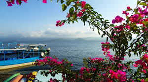 In addition to its beautiful lagoon and jungle, catemaco is so popular for being home of important groups of witches, sorcerers, or healers, who have. Catemaco See Foto Bild World Mexico Mexiko Bilder Auf Fotocommunity