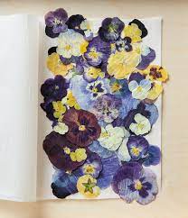 Then place other books on top of this one in order to get quality pressed flowers. How To Press Flowers Better Homes Gardens