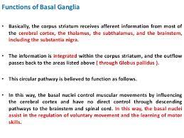 Basal ganglia initiate the movement and program the movement. Basal Ganglia Limbic System