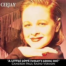 A Little Love (What's Goin' On) [Cameron Paul Radio Version] by ceejay