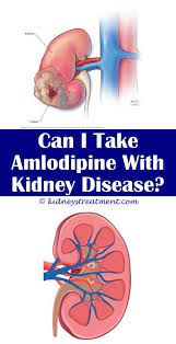 Pin On What Is Kidney Disease
