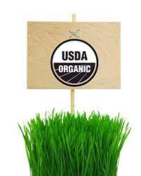 Amazon Com Premium Red Wheat Berries Wheatgrass Cat Grass Seeds 2 Lb Bulk Non Gmo Usda Organic Bonus Free How Usda Organic Hard Red Wheat Wheat Grass