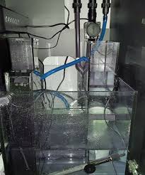 Cara Membuat Filter Akuarium Sendiri Dengan Bahan Sederhana Arafuru