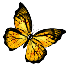 That you can download to your computer and use in your designs. Butterflies Png Transparent Image Png Arts