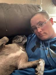 Dog enjoys belly rubs at home