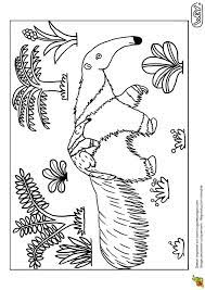 page 10 sur 12 hugolescargot com coloriage tamanoir dessin facile animaux de toile fond photo bricolage