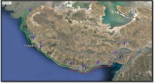 Image result for Halopyrum mucronatum