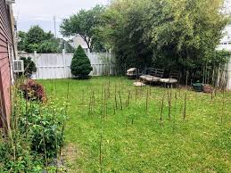 How do i get rid of bamboo in the garden. Bamboo Removal In New Jersey Professional Bamboo Landscapers Llc