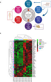 How to collect the environmental samples with. Normothermic Ex Vivo Kidney Perfusion In A Porcine Auto Transplantation Model Preserves The Expression Of Key Mitochondrial Proteins An Unbiased Proteomics Analysis Biorxiv