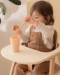 Appropriately named because they clamp to the side of your dining table. Nobodinoz Growing Green High Chair Tray Table Unisex Bambini