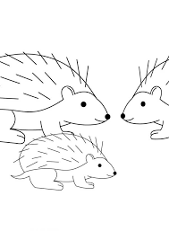 Coloring pages for hedgehog are available below. Hedgehog Family Coloring Pages Bulk Color