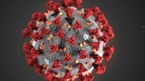 新冠病毒溯源，该查的是美国- 中国日报网