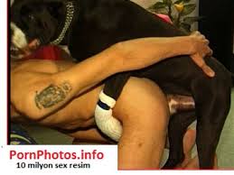 Porno Hayvan Kadin Ve Hayvan Sex Led Masa Lambasi Diger Cloudy Girl Pics