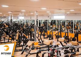 Stadioane şi săli de sport, timişoara. Intenso Fitness Fitness Timisoara Sali De Fitness Si Aerobic Cluburi Sportive Antrenori Si Instructori Din Timisoara