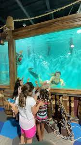 Ironshoremermaid On Instagram Would You Run Over To Wave Hello Come Say Hi At Blue Zoo Okc In 2021 Mermaid Life Instagram Mermaid