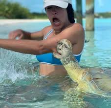 Senate majority leader mitch mcconnell used a dril tweet to attack alexandria ocasio cortez, and fans on both sides are shocked by the move. Mcconnell Snaps Back Psbattle Submission Imgur