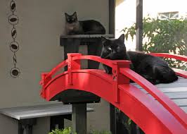 Shop from the vast range of garden cat planter offered by alibaba.com. Pin On Cat