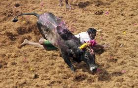 373,141 likes · 10,901 talking about this. The Arguments In Favour Of Jallikattu Are Untenable And Insensitive