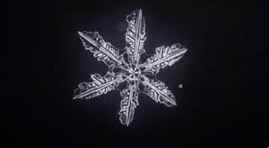 Snowflake Forming Snowflakes Gif Time Lapse Video