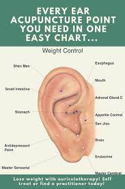 Effektive Bilder Die Wir Uber Piercing Private Anbieten Ein Qualitatsbild Kann Ihnen Viele Din Piercing In 2020 Acupuncture Acupuncture Points Ear Reflexology