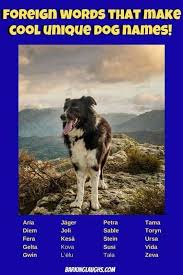 Unique Dog Names And Meanings 200 Unusual Names And Name Quiz In 2020 Girl Dog Names Unique Puppy Names Unique Boy Dog Names Unique