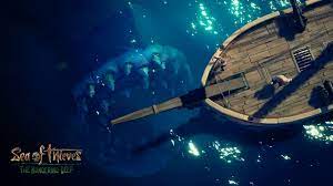 There are five types of megalodon species with varying colours and rarity. Megalodon Sea Of Thieves Wiki Fandom