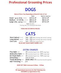 On the other hand, a dog sitter will. Pet Hotel Near Me Prices The Y Guide