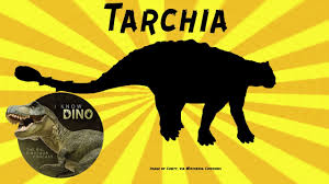Tarchia (meaning brainy one) is a genus of herbivorous ankylosaurid dinosaur from the late cretaceous of mongolia. Tarchia Dinosaur Of The Day Youtube