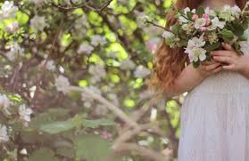 Gingerlillytea In The Orchard Pretty Flowers Apple Blossom Flowers