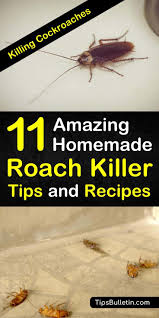 Just get empty egg shells and place them inside your kitchen cabinets and they would stop them from entering the shelves. Killing Cockroaches 11 Amazing Homemade Roach Killer Tips And Recipes