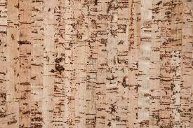 What is the most popular bathroom tile? New Cork Flooring Has The Benefits Of Luxury Vinyl Tile