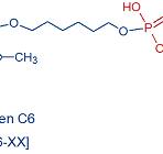 Psoralen C6-5' Oligo Modifications from Gene Link