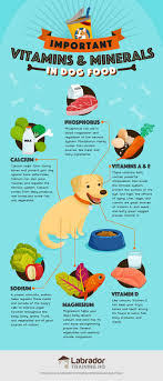 Look for puppy foods loaded with animal protein. Best Dog Foods Our Complete Guide For 2020 Lthq