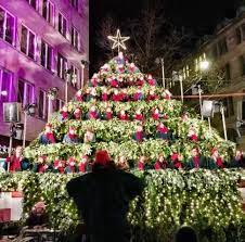 zurich s singing christmas tree singing christmas tree christmas tree christmas in switzerland