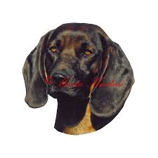 Image result for bavorský barvář