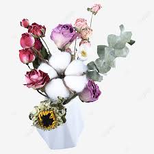 Find & download free graphic resources for png. Bouquet Di Cotone Rosa Vaso Bianco Guardando Verso Il Basso I Fiori Secchi Bianca Verde Immagine Png E Clipart Per Il Download Gratuito