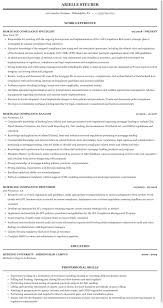 Governance low low low 2. Mortgage Compliance Resume Sample Mintresume