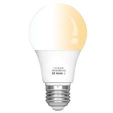 Sengled motion sensor outdoor light bulbs. Top 10 Best Motion Sensor Light Bulbs 2021 Reviews