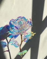 Check spelling or type a new query. Glasgow Rose Flowers On Instagram Iridescent Rose Could Create Something Special With These Rose Iridescent Beauty Flower Iridescent Rose Flower Rose