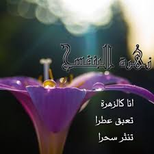 زهرة البنفسج Khookha2050 Twitter