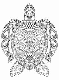 Sea Plants Coloring Pages Beautiful Coloring Book Pages Animals Turtle Coloring Pages Animal Coloring Books Animal Coloring Pages