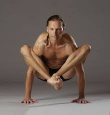 Gregor Maehle 8 Limbs Yoga