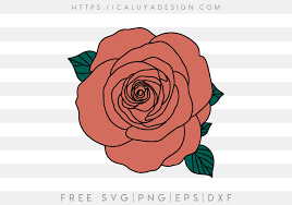 Download Free Hand Drawn Rose Svg Png Eps Dxf By Caluya Design