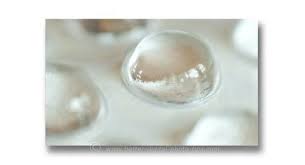 11 Macro Photography Ideas You Ve Never Thought Of How To Find Them Macro Photography Subjects Photography Subjects Macro Photography