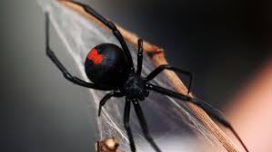 Cleveland — the cleveland indians have a new name. What Would Be A Good New Name For The Cleveland Indians Mlb Nbc Sports