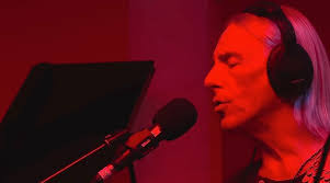 Aimee Meek's Instagram, Twitter & Facebook