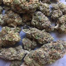 Gelato marijuana strain has a substantial influence on the palate that gives a sweet, pleasurable gelato is just one of many latest strains that were first developed in the pioneering bay area, but it. Buy Gelato Kush Online Where To Buy Gelato Weed Online Buy Weed China
