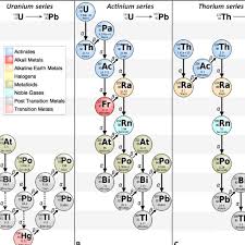 As uranium decays to lead, it passes through a series of other elements. Decay Series Of A Uranium 238 238 U B Uranium 235 235 U And Download Scientific Diagram