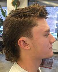 This came from the song 'mullet head' on 1994's 'ill communication' album, which described the haircut. Mullet Haircut 60 Ways To Get A Modern Mullet Men S Hairstyle Tips