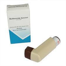 Learn about side effects, dosage, special precautions, and more on medlineplus. Budesonide Formoterol Inhaler Cfc Free 200doses Aerosolized Medications